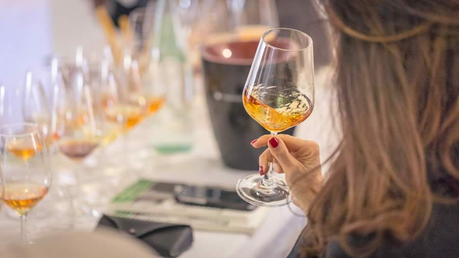 17ª Concurso Vinhos e Destilados do Brasil ocorre em julho e apresenta produtos exclusivamente nacionais 41