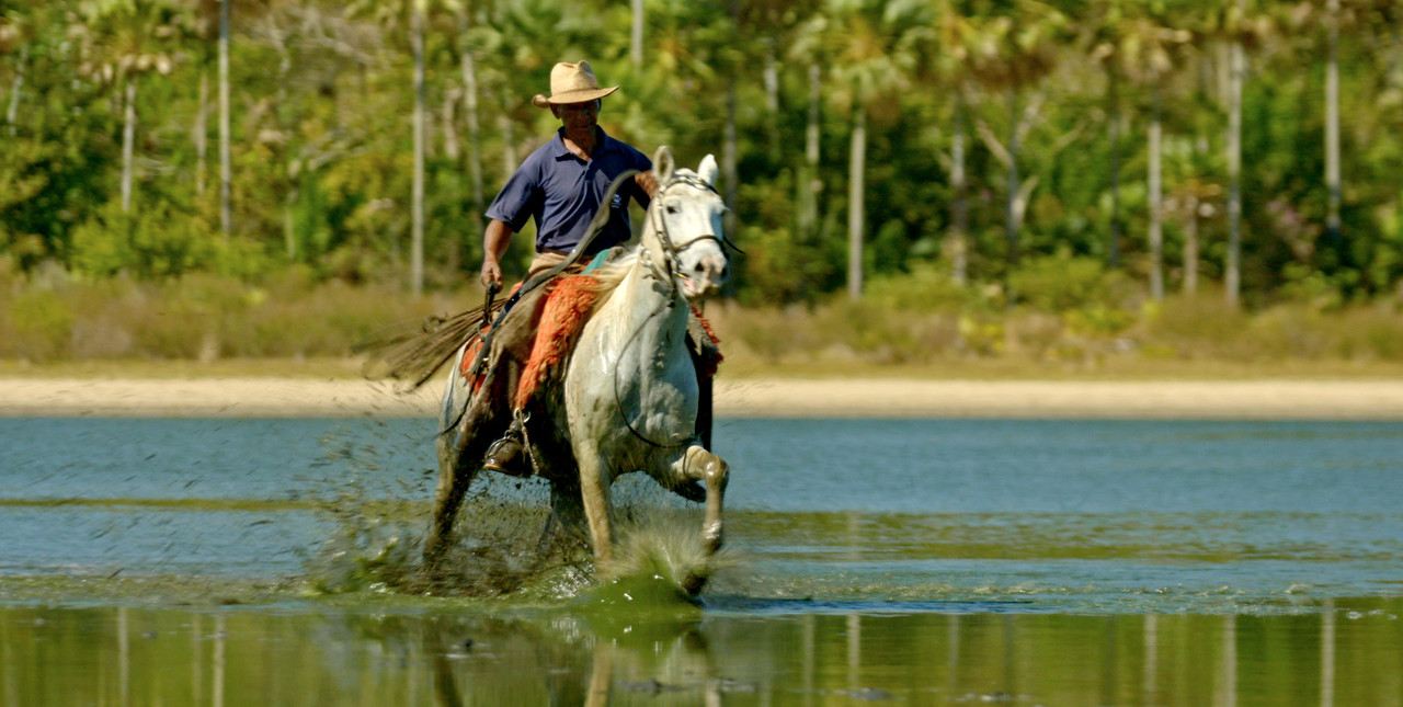 TV Aparecida destaca documentário sobre o Pantanal em sua programação de novembro 41