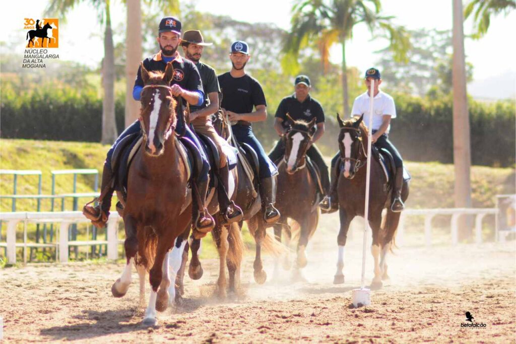 Mangalarga Ribeirão Preto (SP) sedia a maior exposição de expansão do Cavalo Mangalarga do ano Mangalarga Ribeirão Preto (SP) sedia a maior exposição de expansão do Cavalo Mangalarga do ano