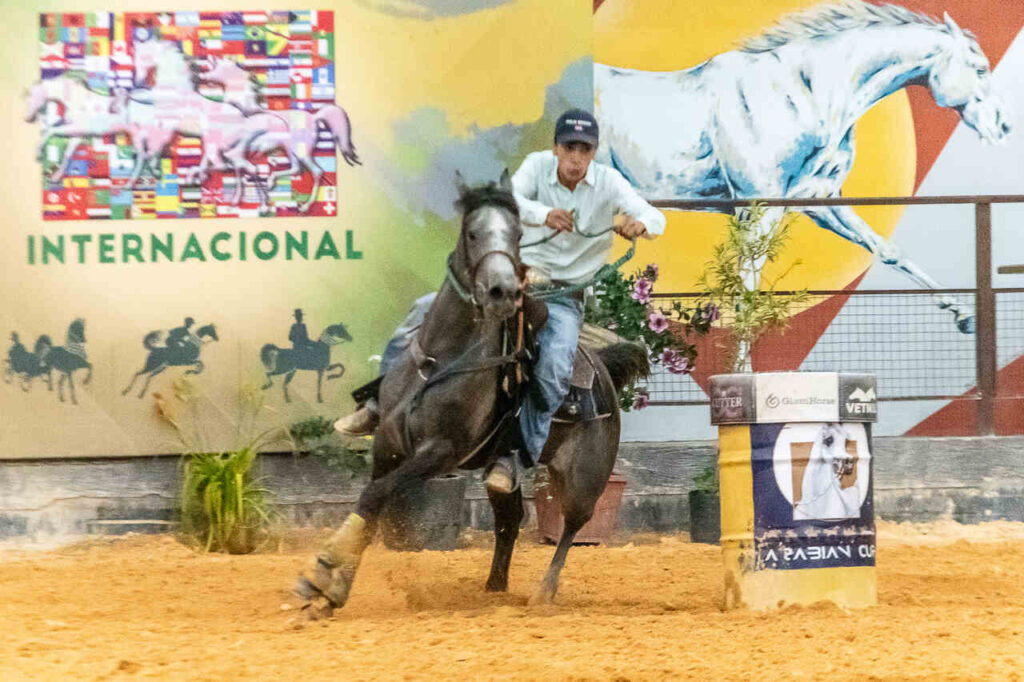 Exposicoes do Cavalo Arabe em Tatui SP elevam a excelencia da raca Tres Tambores 1 Easy Resize.com | Planeta Country