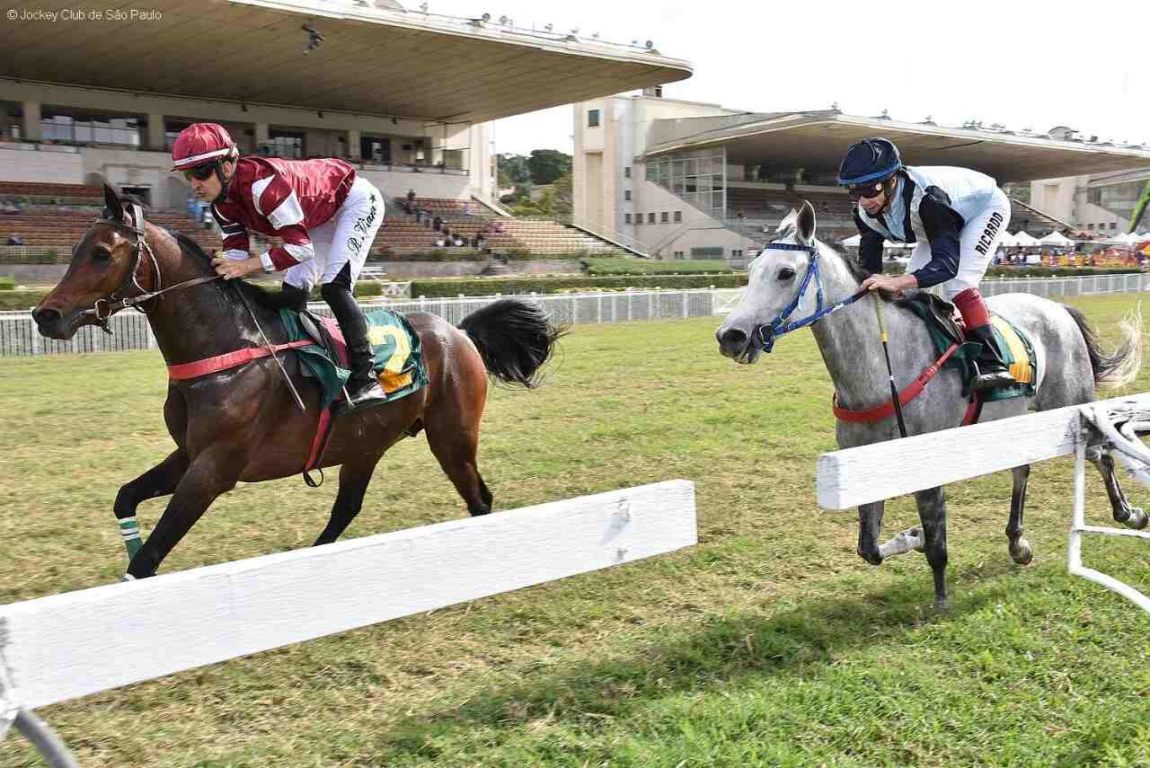 Grande Premio Nacional do Cavalo Arabe agita o Jockey Club de Sao Paulo neste sabado Easy Resize.com | Planeta Country