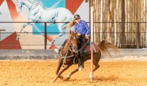 Laura da Fonseca e seu cavalo Folhetim Pat 1 Easy Resize.com | Planeta Country
