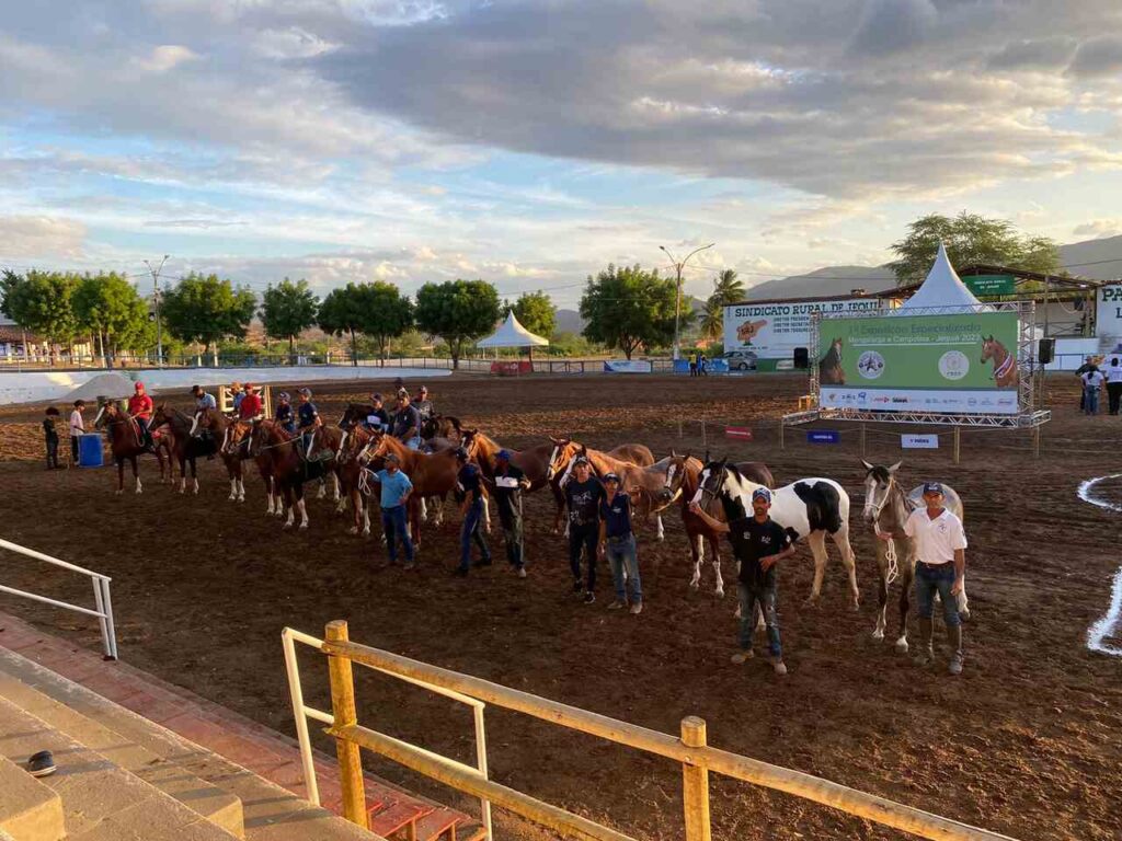 Cidade de Jequie BA recebe a 1a Exposicao Especializada em Cavalos Mangalarga e Campolina Thiago Faria Easy Resize.com | Planeta Country