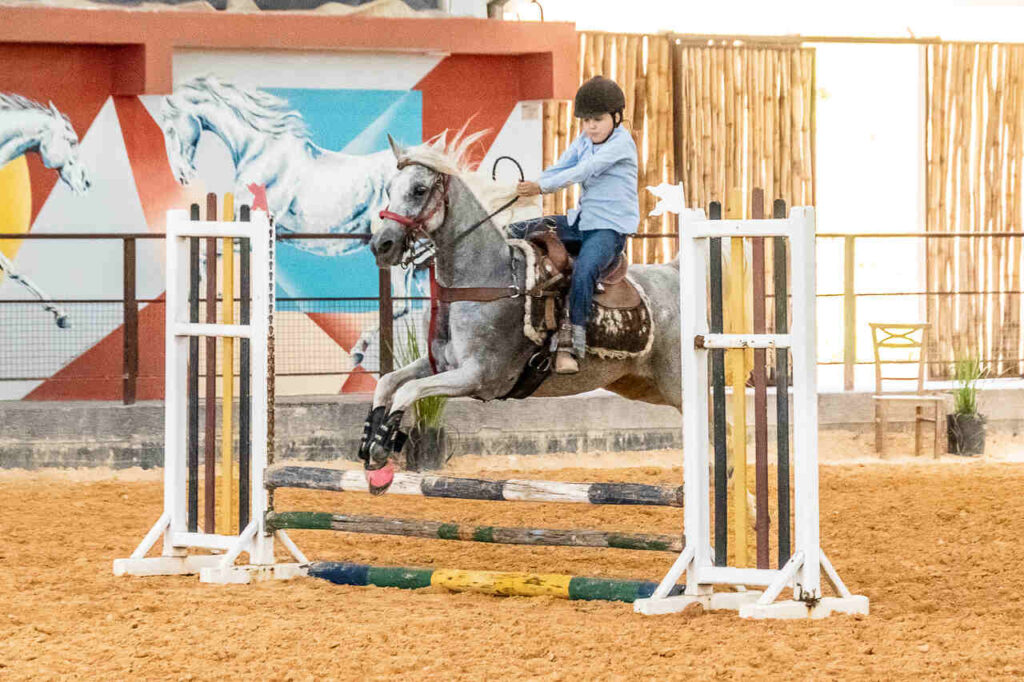 Cavalo Árabe Exposição do Cavalo Árabe em Tatuí (SP) apresenta raça em 10 modalidades e reúne competidores de todo o país Cavalo Árabe Exposição do Cavalo Árabe em Tatuí (SP) apresenta raça em 10 modalidades e reúne competidores de todo o país