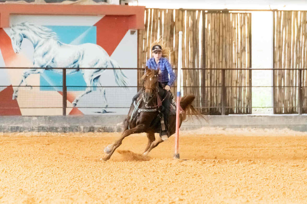 Cavalo Árabe Exposição do Cavalo Árabe em Tatuí (SP) apresenta raça em 10 modalidades e reúne competidores de todo o país Cavalo Árabe Exposição do Cavalo Árabe em Tatuí (SP) apresenta raça em 10 modalidades e reúne competidores de todo o país