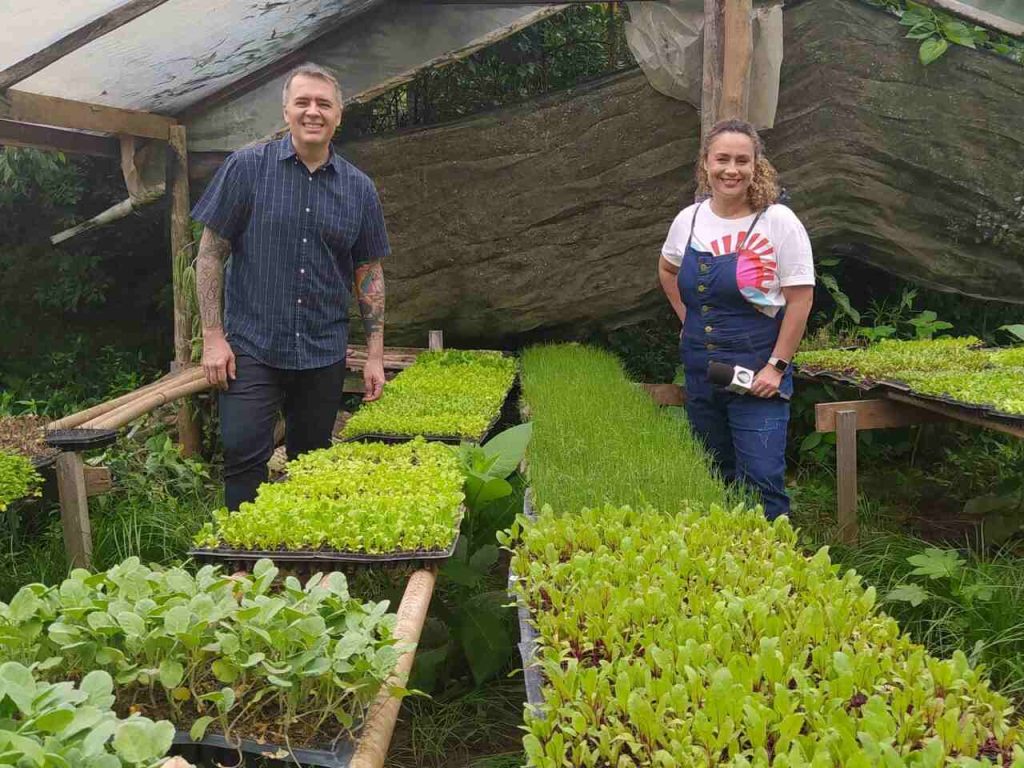 Sabor de Vida "Sabor de Vida" passeia por plantação de orgânicos e prepara uma salada especial Sabor de Vida "Sabor de Vida" passeia por plantação de orgânicos e prepara uma salada especial