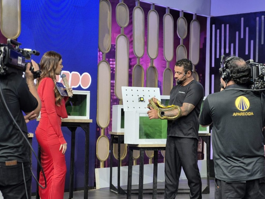 Amanda Françozo Amanda Françozo fala da saúde dos pets em seu programa Amanda Françozo Amanda Françozo fala da saúde dos pets em seu programa